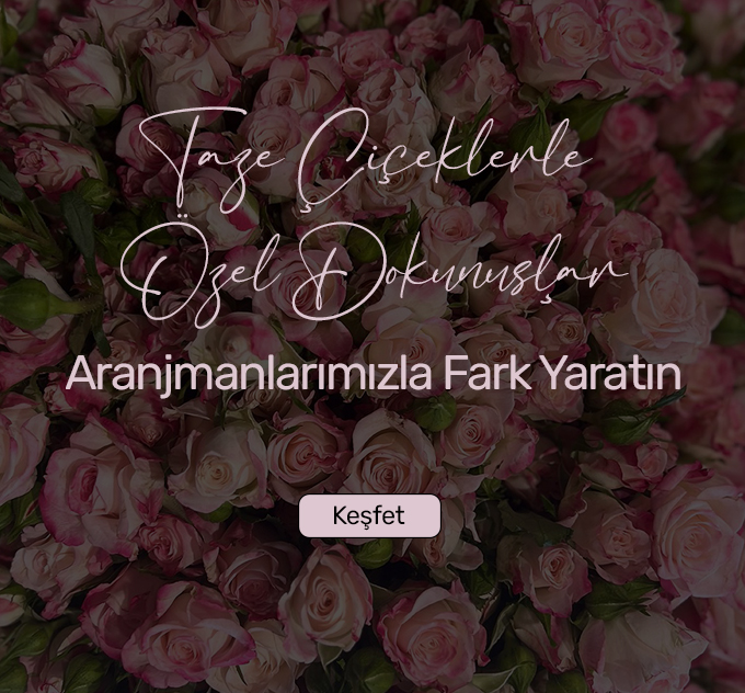 buketler