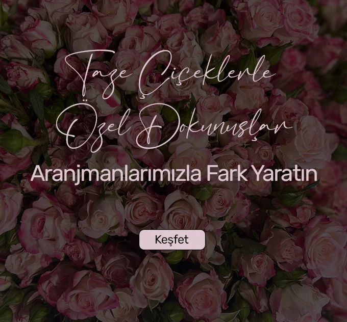 buketler