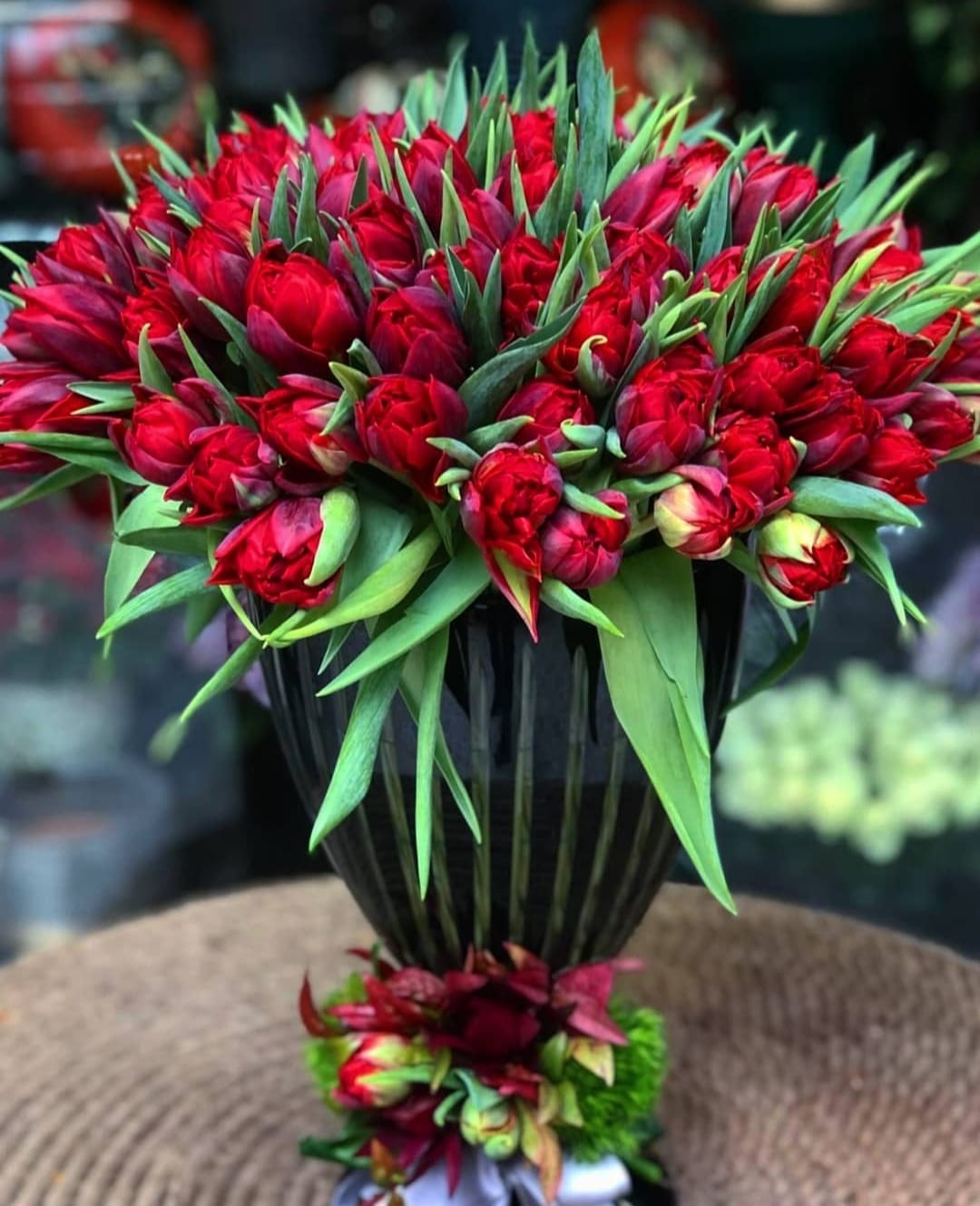 Tulipa kırmızı laleler