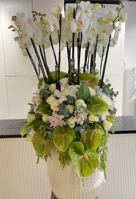Orchid Grandeur Arrangement