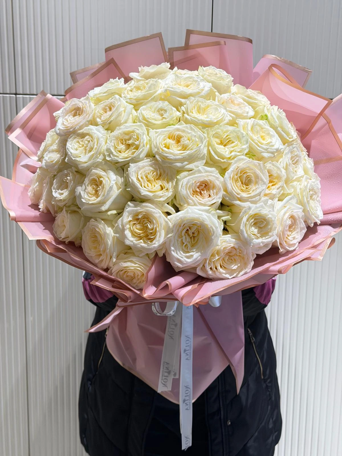 Candlıght Roses Ecuador