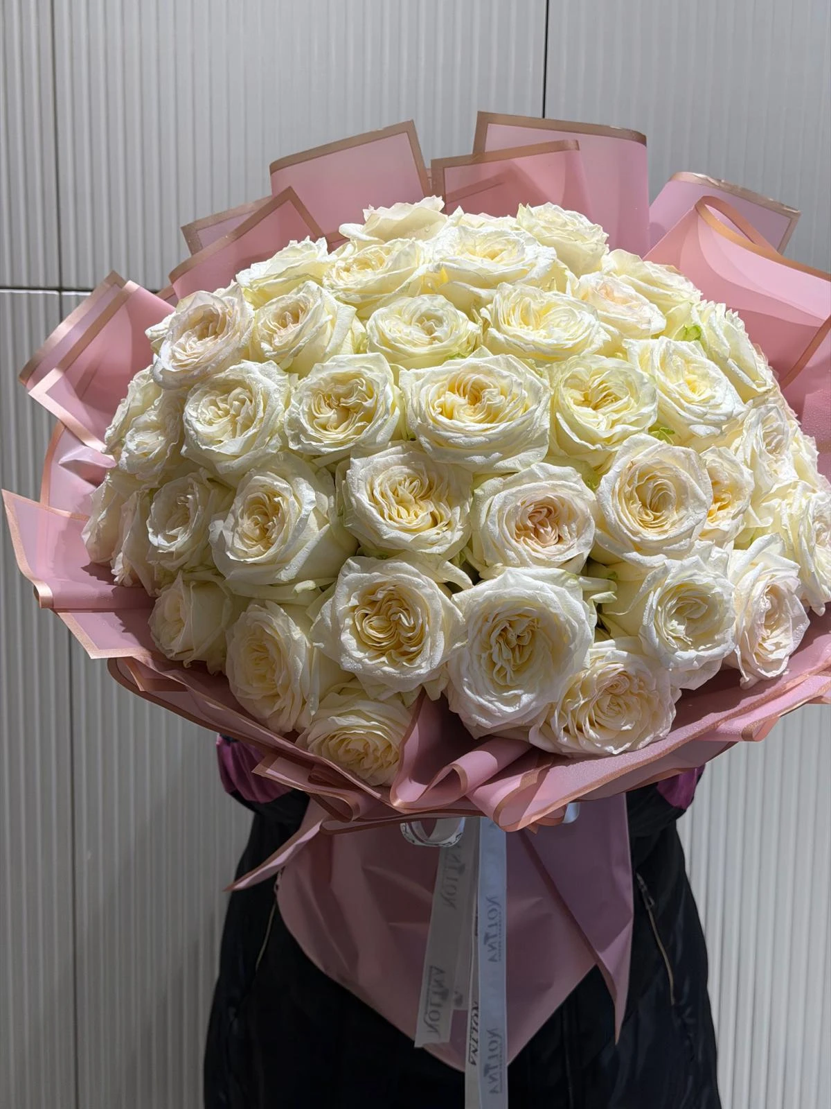 Candlıght Roses Ecuador