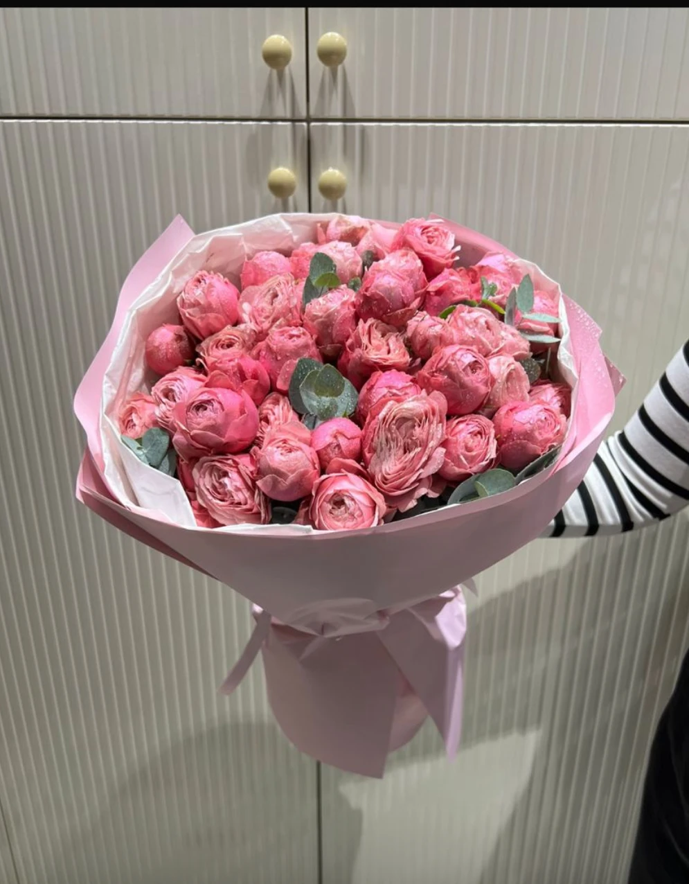 Siliviapink roses