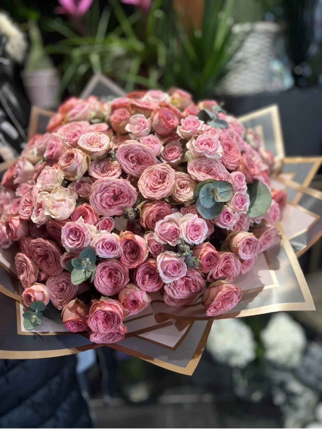 Karışık Çardak Gül