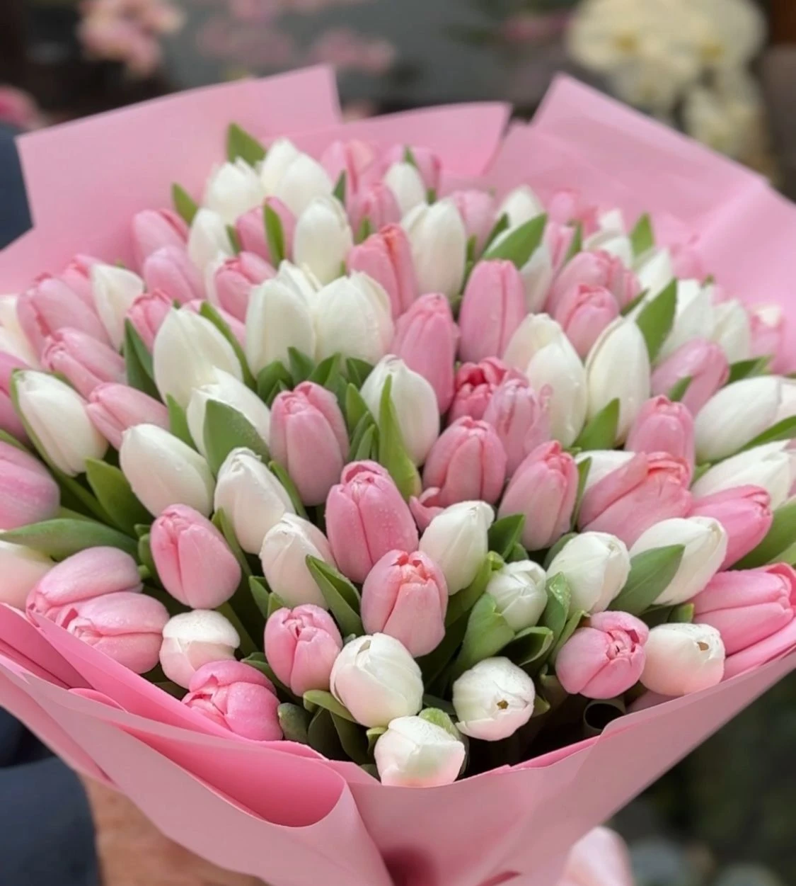 White&Pink Tulips 101