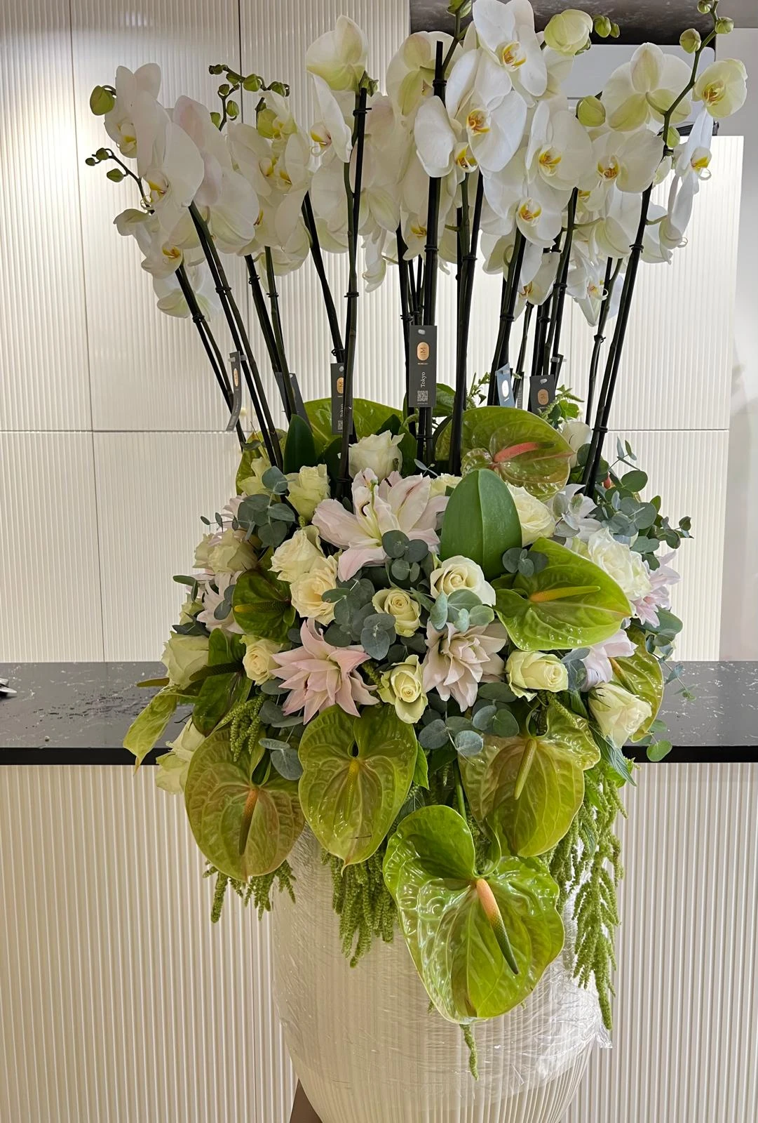 Orchid Grandeur Arrangement