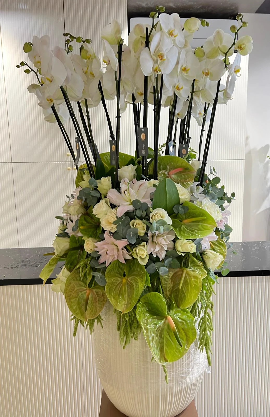 Orchid Grandeur Arrangement