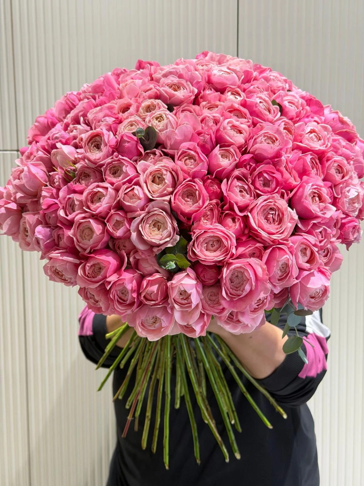 Maxi Silva Pink Roses